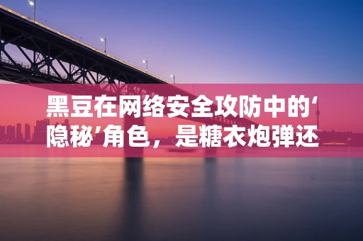 黑豆在网络安全攻防中的‘隐秘’角色，是糖衣炮弹还是防御盾牌？