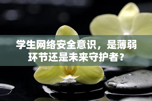 学生网络安全意识，是薄弱环节还是未来守护者？