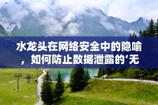 水龙头在网络安全中的隐喻，如何防止数据泄露的‘无形泄漏’？