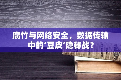 腐竹与网络安全，数据传输中的‘豆皮’隐秘战？
