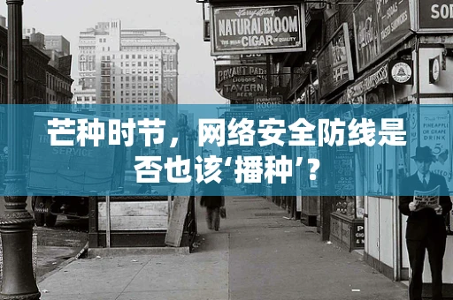 芒种时节，网络安全防线是否也该‘播种’？
