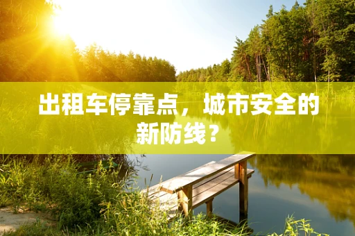 出租车停靠点，城市安全的新防线？