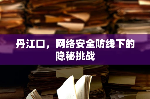 丹江口，网络安全防线下的隐秘挑战