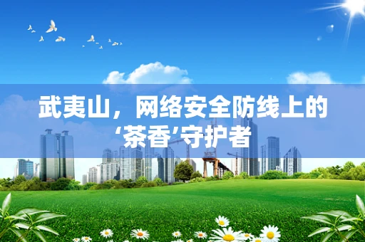 武夷山，网络安全防线上的‘茶香’守护者
