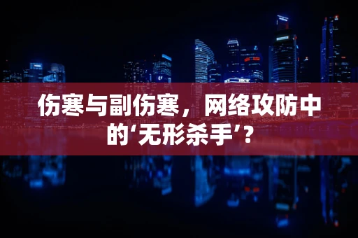 伤寒与副伤寒，网络攻防中的‘无形杀手’？