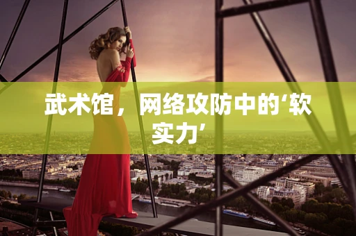 武术馆，网络攻防中的‘软实力’