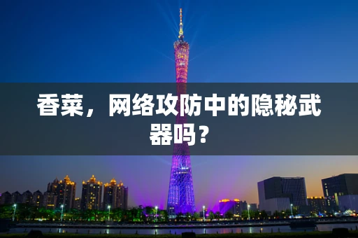 香菜，网络攻防中的隐秘武器吗？
