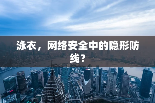 泳衣，网络安全中的隐形防线？