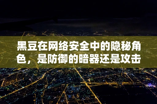 黑豆在网络安全中的隐秘角色，是防御的暗器还是攻击的伪装？