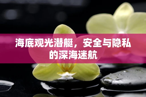 海底观光潜艇，安全与隐私的深海迷航