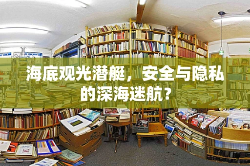 海底观光潜艇，安全与隐私的深海迷航？