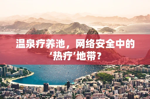 温泉疗养池，网络安全中的‘热疗’地带？