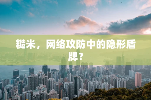 糙米，网络攻防中的隐形盾牌？