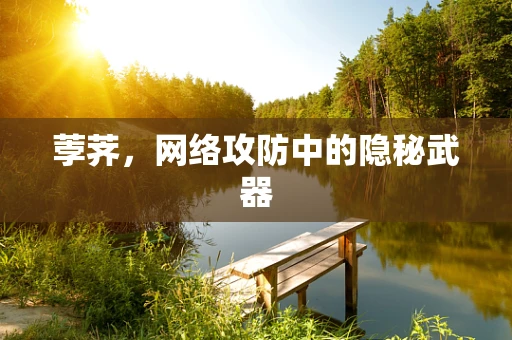 荸荠，网络攻防中的隐秘武器