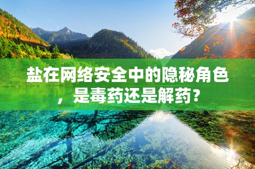 盐在网络安全中的隐秘角色，是毒药还是解药？