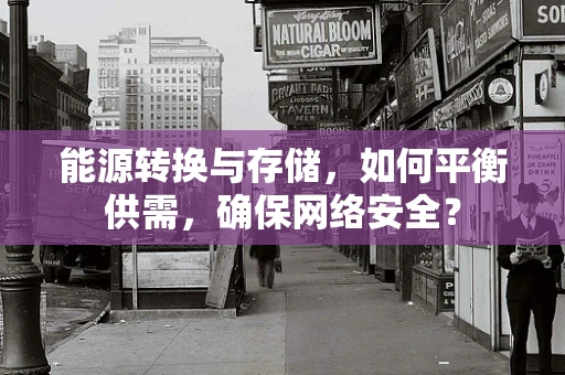 能源转换与存储，如何平衡供需，确保网络安全？