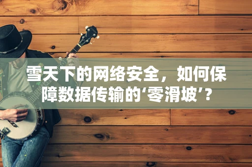 雪天下的网络安全，如何保障数据传输的‘零滑坡’？