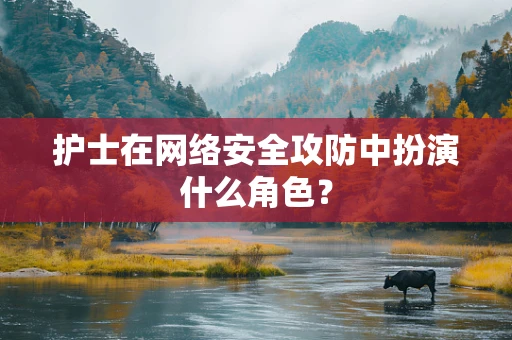 护士在网络安全攻防中扮演什么角色？