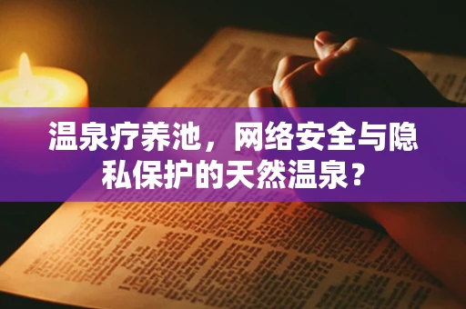 温泉疗养池，网络安全与隐私保护的天然温泉？