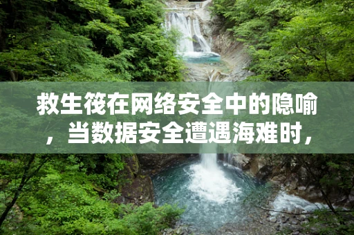 救生筏在网络安全中的隐喻，当数据安全遭遇海难时，我们如何自救？