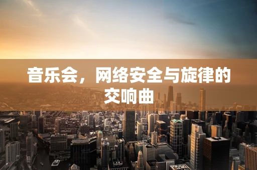 音乐会，网络安全与旋律的交响曲