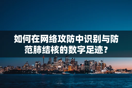 如何在网络攻防中识别与防范肺结核的数字足迹？