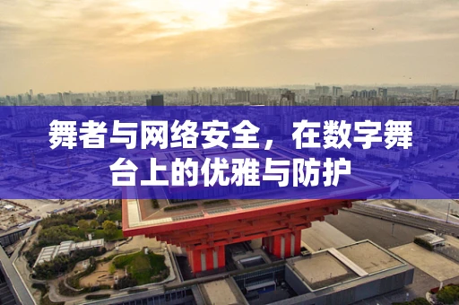 舞者与网络安全，在数字舞台上的优雅与防护