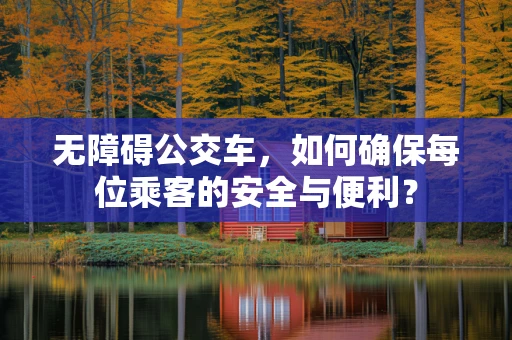 无障碍公交车，如何确保每位乘客的安全与便利？