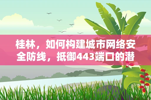 桂林，如何构建城市网络安全防线，抵御443端口的潜在威胁？