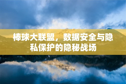 棒球大联盟，数据安全与隐私保护的隐秘战场