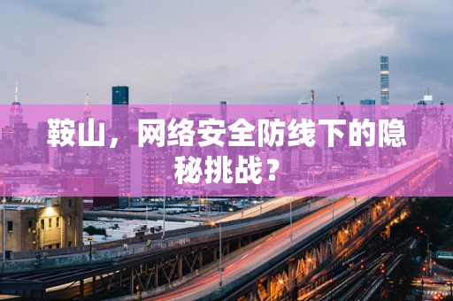 鞍山，网络安全防线下的隐秘挑战？