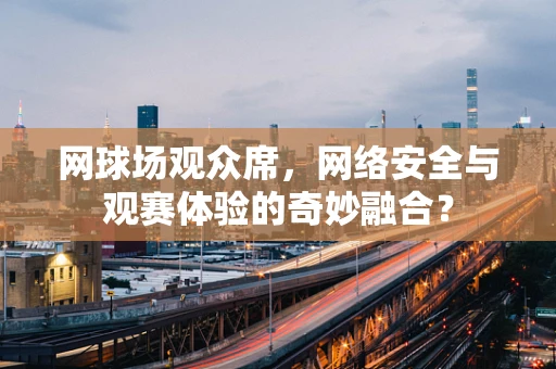 网球场观众席，网络安全与观赛体验的奇妙融合？