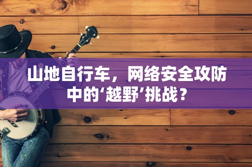 山地自行车，网络安全攻防中的‘越野’挑战？