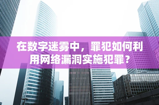 在数字迷雾中，罪犯如何利用网络漏洞实施犯罪？