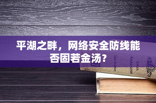 平湖之畔，网络安全防线能否固若金汤？