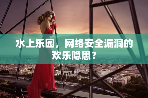 水上乐园，网络安全漏洞的欢乐隐患？
