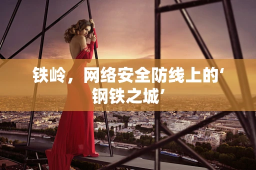 铁岭，网络安全防线上的‘钢铁之城’