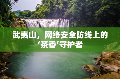 武夷山，网络安全防线上的‘茶香’守护者