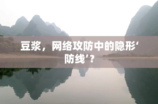 豆浆，网络攻防中的隐形‘防线’？