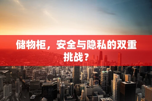 储物柜，安全与隐私的双重挑战？