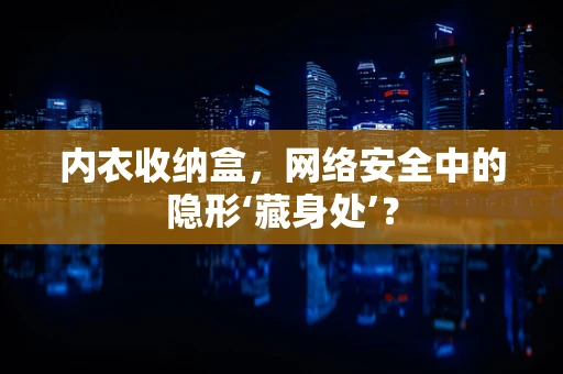 内衣收纳盒，网络安全中的隐形‘藏身处’？