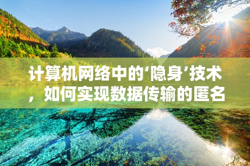 计算机网络中的‘隐身’技术，如何实现数据传输的匿名性？