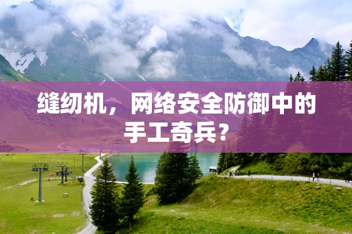 缝纫机，网络安全防御中的手工奇兵？