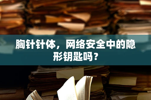 胸针针体，网络安全中的隐形钥匙吗？