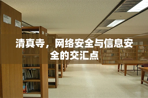 清真寺，网络安全与信息安全的交汇点
