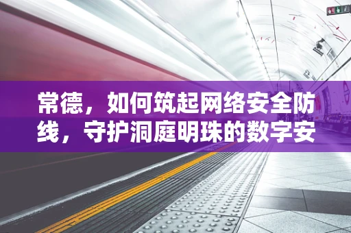 常德，如何筑起网络安全防线，守护洞庭明珠的数字安全？