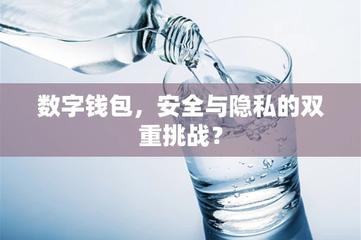 数字钱包，安全与隐私的双重挑战？