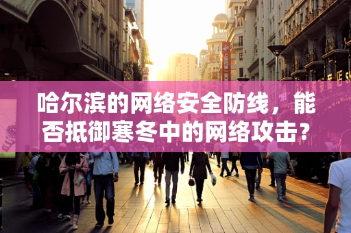 哈尔滨的网络安全防线，能否抵御寒冬中的网络攻击？