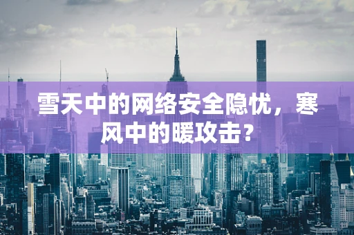 雪天中的网络安全隐忧，寒风中的暖攻击？
