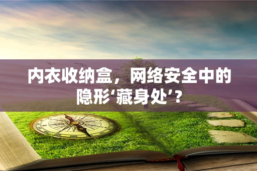 内衣收纳盒，网络安全中的隐形‘藏身处’？